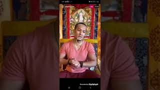 HE palga rinpoche live teaching on instagram [upl. by Rayham995]