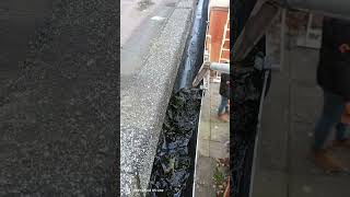 Gutter Cleaning satisfying guttering viral [upl. by Valaree433]