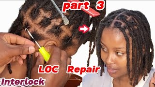 LOC Restoration Part 3 Interlock maintenance on Dreads [upl. by Davena]