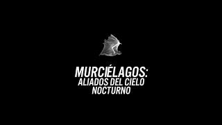 quotMurciélagos aliados del cielo nocturnoquot Documental 2018 [upl. by Fleischer]