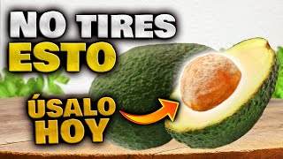 BENEFICIOS del HUESO de AGUACATE 🥑 CÓMO CONSUMIRLA  Propiedades de la SEMILLA de Aguacate o Palta [upl. by Idahs]