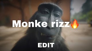 Monkey rizz edit🔥🔥🔥 [upl. by Aielam29]