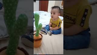 bebe se asusta con cactus bailarin [upl. by Gabi937]