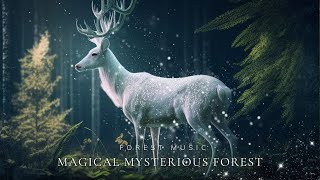 Magical Mysterious Forest  Calming The Mind Soaring Soothing with Flute Magical Sound [upl. by Nageem]