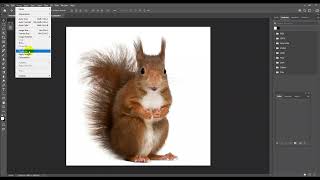 How to Convert Images to 300 dpi in adobe Photoshop [upl. by Efrem]