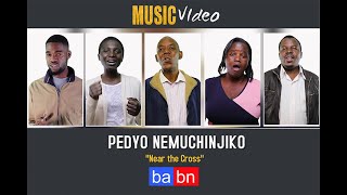 OFFICIAL VIDEO Pedyo nemuchinjiko [upl. by Anasxor]