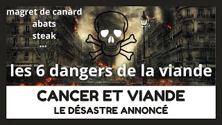 ☠️ Fer héminique et cancer du côlon Les produits animaux provoquentils le cancer  ☠️ [upl. by Ateikan]