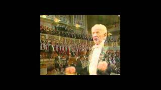 4th Movement  part 2  Ode to Freedom  1989  Leonard Bernstein  Beethovens 9th Symphony HD 720p [upl. by Kcirdahc]