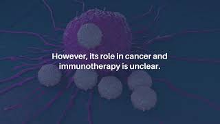 Systematic Analysis of Prognostic Value and Immunological Function of LTBR in Cancer  AgingUS [upl. by Ecnerwal298]