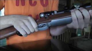 Winchester Model 70 Stainless Featherweight 243 [upl. by Kaylil259]