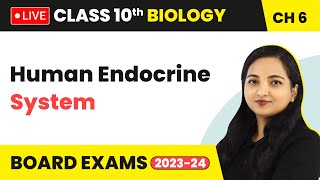 Human Endocrine System  Control and Coordination  Class 10 Biology Chapter 6 LIVE [upl. by Cammie]