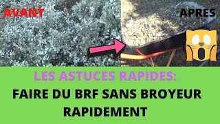 Permaculture BRF sans broyeur et rapide  bois raméal fragmenté [upl. by Reine]