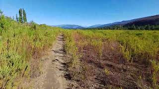 La mejor terapia bicicleta y naturaleza otoño 2024 patagoni argentina bike mtb elbolson ASMR [upl. by Imekawulo]