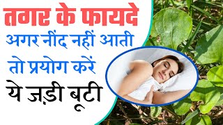 तगर के फायदे  Valeriana Jatamansi Health Benefits in Hindi by Dr Shamoon [upl. by Nnylatsyrk]