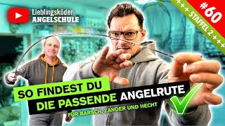 So findest du die passende Angelrute für Barsch Zander und Hecht [upl. by Arek]