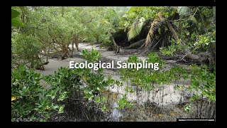 Ecological sampling [upl. by Anamuj]