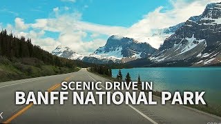 SCENIC DRIVE  Banff National Park Icefields Pkwy Alberta CANADA Travel [upl. by Meeharbi271]