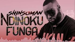 Shinsoman  Ndinokufunga Official Audio Prod By Dj Tarks  Zimdancehall 2022 [upl. by Can]