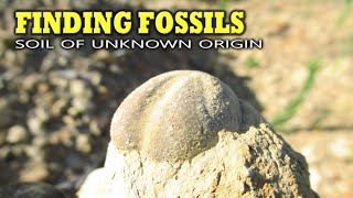 Finding Fossils  Soil of Unknown Origin [upl. by Horick145]