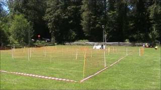 20110626TreibballSpiel  Das LabyrinthKVBernawmv [upl. by Arehsat]