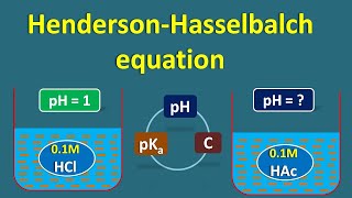 HendersonHasselbalch equation  Application and calculations [upl. by Selinski]