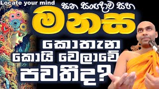 විඥ්ඥානය කය තුල පහලවේ යන්න මුලාසහගත දෘශ්ඨියකි Ven Bandarawela Wangeesa Thero [upl. by Attelahs584]