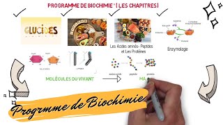 📌📣Programme des cours de BIOCHIMIE Les Glucides Lipides Acides Aminés Peptides Protéines [upl. by Nobile430]