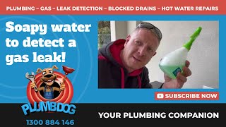 Gas Plumbing  How to Find a Gas Leak with Soapy Water  Plumbdog Plumbing Perth [upl. by Korry833]