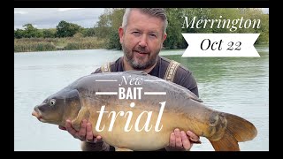 Testing a new bait at Merrington Carp Fishery Oct 22 [upl. by Anas]