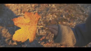 5 bonnes raisons de visiter l’AIN cet automne [upl. by Haimirej906]