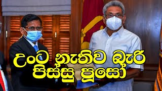 අනුරලා දාපු නඩුවම දාලා පිස්සු පූසා නමත් දාපු රනිල්ම අද තනතුරුවලට පිස්සු පූසන්වම දාන්නේ ඇයි [upl. by Ecile]