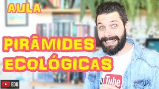 Pirâmides Ecológicas  Ecologia  Biologia com Samuel Cunha [upl. by Eladnwahs]