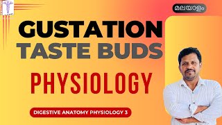 Taste buds Structure Gustation physiology Malayalam Tongue Anatomy Malayalam [upl. by Cott]