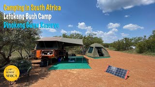 Camping in South Africa  Lefokeng Bush Camp  Dinokeng Game Reserve [upl. by Nairad]