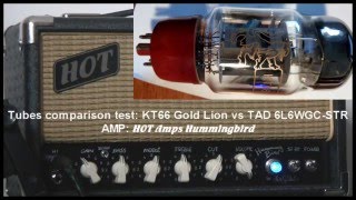 HOT Amps  Hummingbird 8W Gold Lion KT66 vs TAD 6L6WGCSTR 22 [upl. by Pacian]