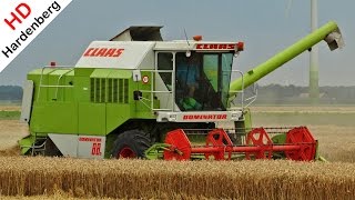 Claas Dominator 88s  Harvesting Grain  Graan dorsen  Biddinghuizen  Netherlands  2014 [upl. by Lyon]