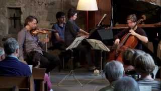 Debussy Piano trio  Rowland Cohen Kudritskaya live at Stiftfestival 12 [upl. by Evilc]