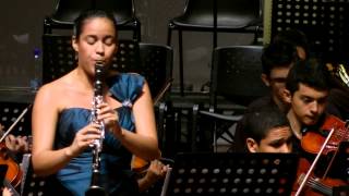 Concierto para Clarinete Nº 3  Karl Stamitz [upl. by Norod485]