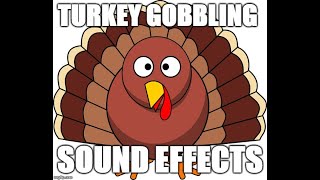 Turkey gobbling  Sound effects [upl. by Howard]