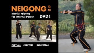 NEI GONG  Martial Arts Qigong YMAA Dr Yang JwingMing [upl. by Nnayrb]