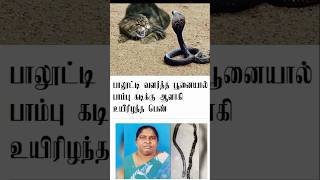 பூனையால் வந்த ஆபத்து பெண் பலி [upl. by Thacher]