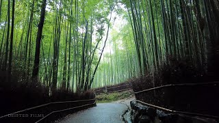 KYOTO Heavy Rain Walk  Around Arashiyama Kyoto Japan  4K ASMR  Binaural Rain Ambience [upl. by Monte]