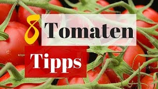 8 Tipps für eine große Tomatenernte  Erfolgreich im Hochbeet Tomaten ziehen [upl. by Pavia]