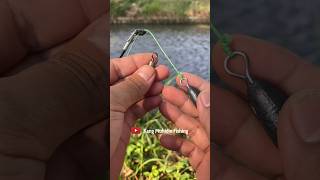 DIY RIG FISHING 2 HOOK FOR RIVER fishing fishknot knottutorial [upl. by Iv764]