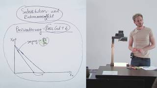 Substitutionseffekt und Einkommenseffekt 1 Wichtige Grundlagen 917 [upl. by Legim500]