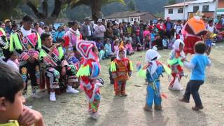 Negrillos de Andahuaylas Huancaray [upl. by Ellecram]