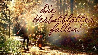 quotDie Herbstblätter Fallenquot 🍂 volkslied herbst autumnvibes relaxingmusic autumnforest [upl. by Avelin]