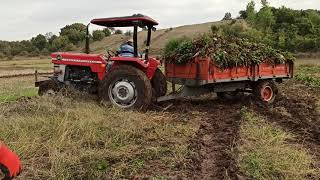 Massey Ferguson 165 pancar tarlasın usta şöför [upl. by Nylarak]