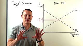 Pegged Currencies Otherwise Known as Fixed Exchange Rates [upl. by Hplodur]