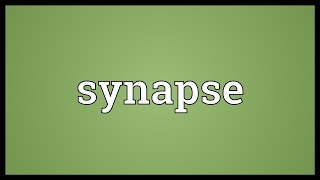 Synapse Meaning [upl. by Sharl]